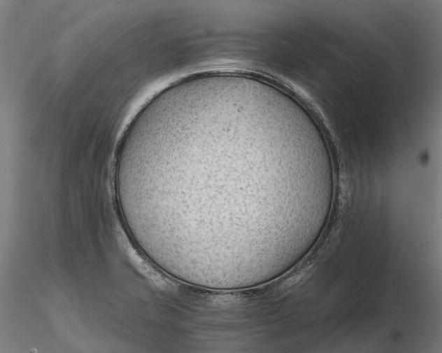 X0000115681421200912031409