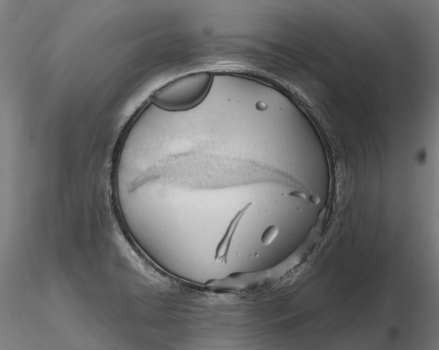 X0000115681422200912031409