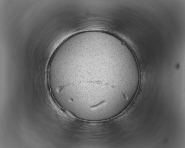 X0000115681423200912031409