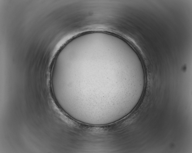 X0000115681424200912031409