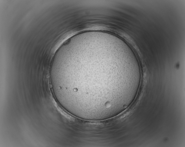 X0000115681425200912031409