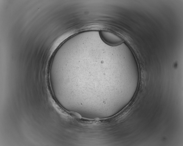 X0000115681426200912031409