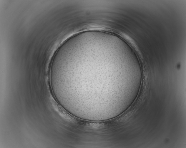 X0000115681427200912031409