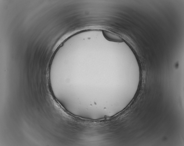 X0000115681428200912031409