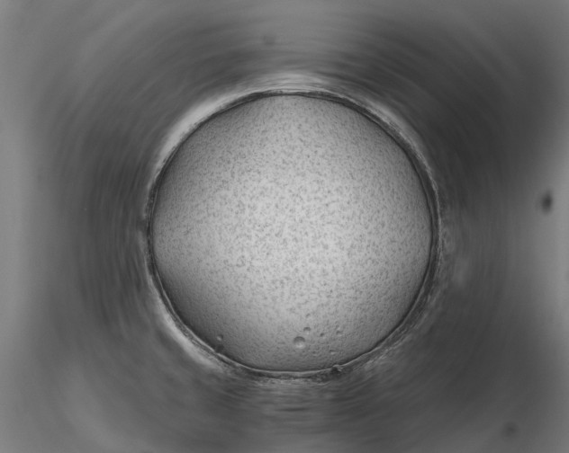 X0000115681429200912031409