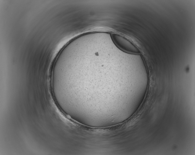 X0000115681430200912031409