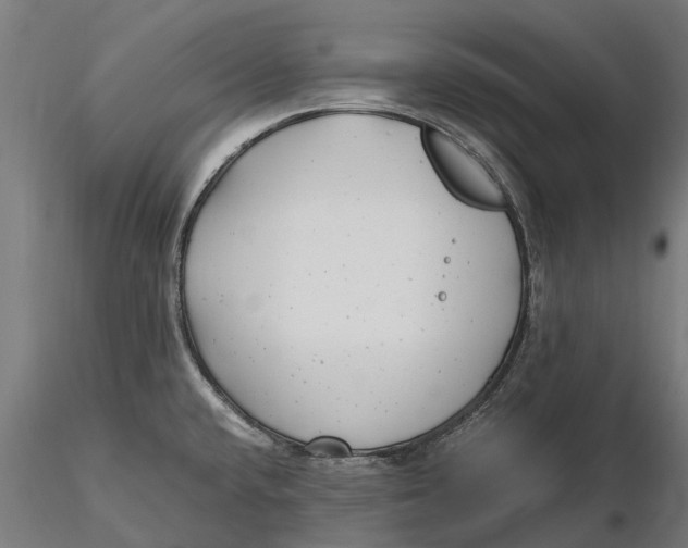 X0000115681432200912031409