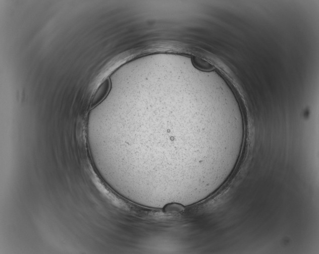 X0000115681433200912031409