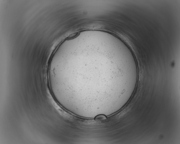 X0000115681434200912031409