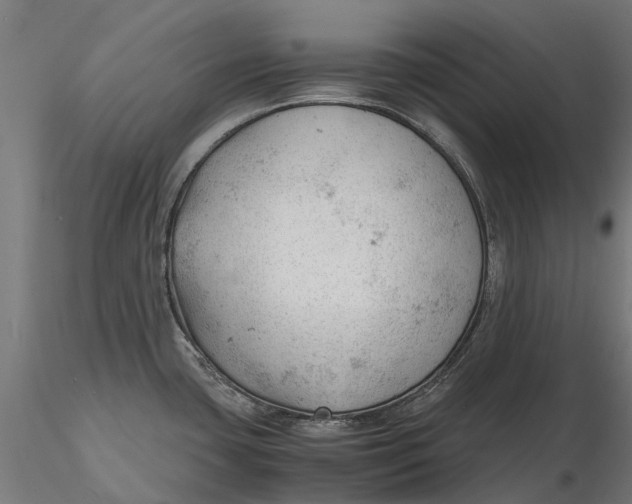 X0000115681435200912031409