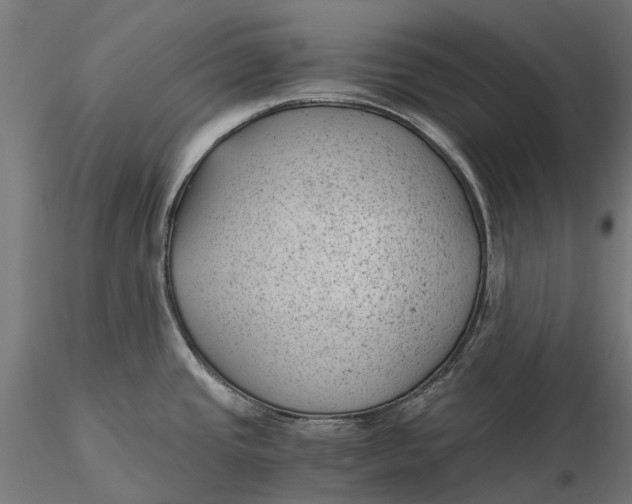 X0000115681437200912031409