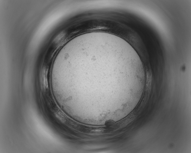 X0000115681439200912031409