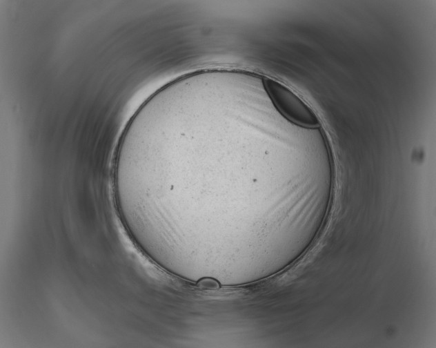 X0000115681440200912031409