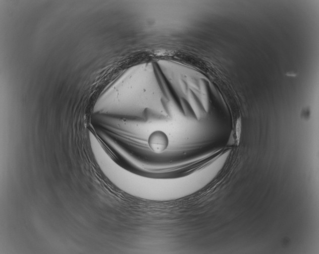 X0000115681443200912031408