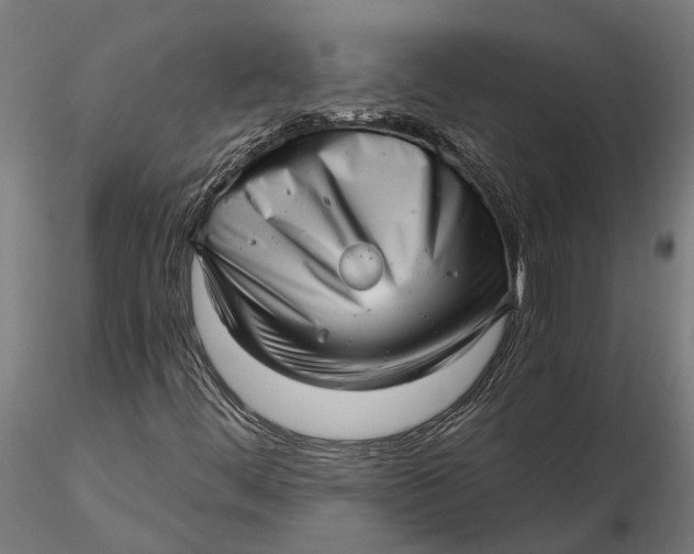 X0000115681444200912031408