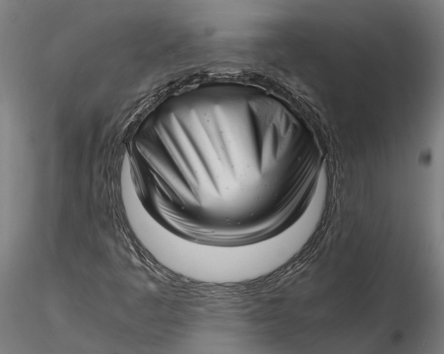 X0000115681445200912031408