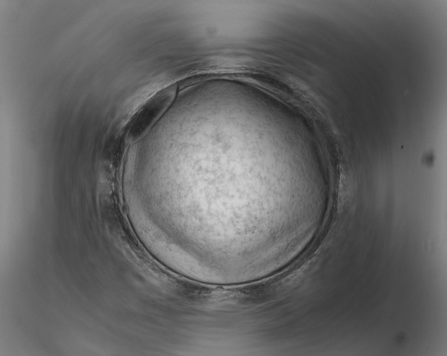 X0000115681449200912031408