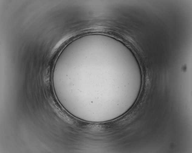 X0000115681450200912031408