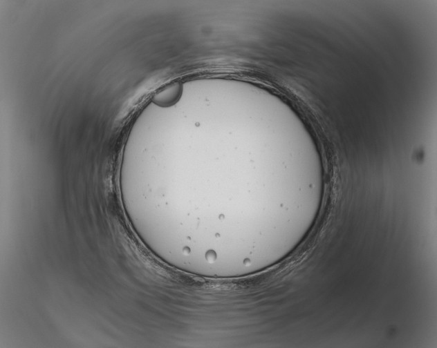 X0000115681451200912031408