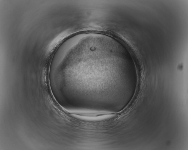 X0000115681455200912031408