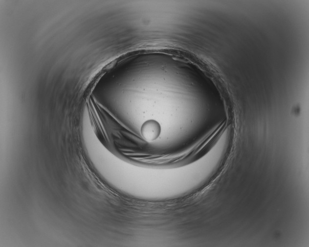 X0000115681457200912031408