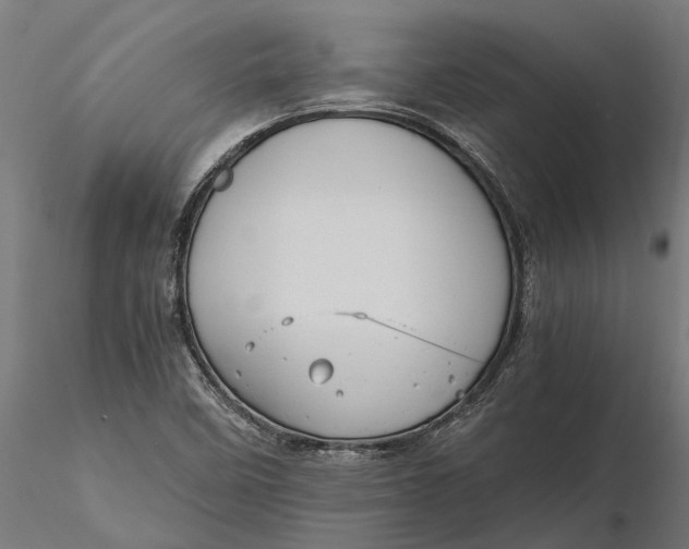 X0000115681458200912031408