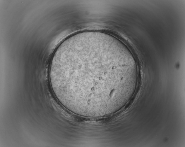 X0000115681459200912031408