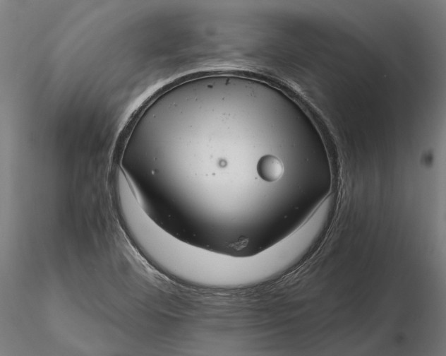 X0000115681460200912031408