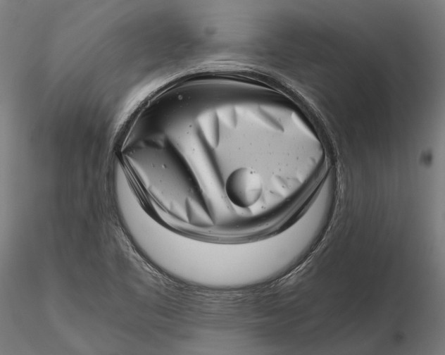 X0000115681461200912031408