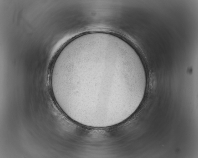 X0000115681462200912031408