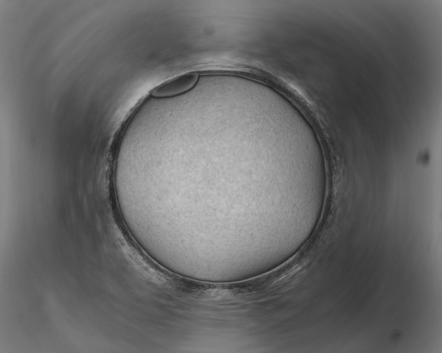 X0000115681463200912031408