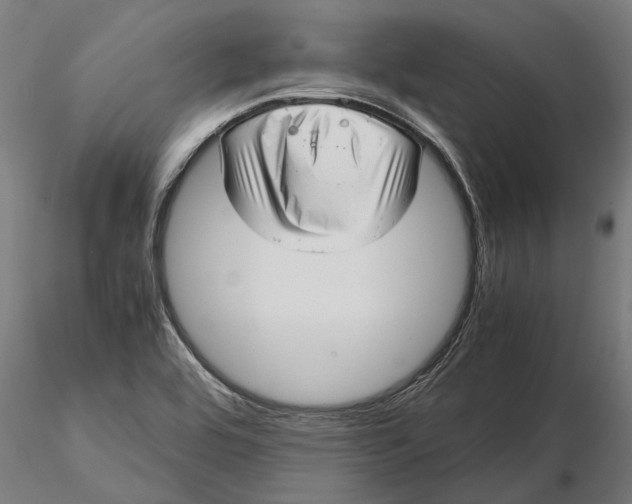 X0000115681464200912031408