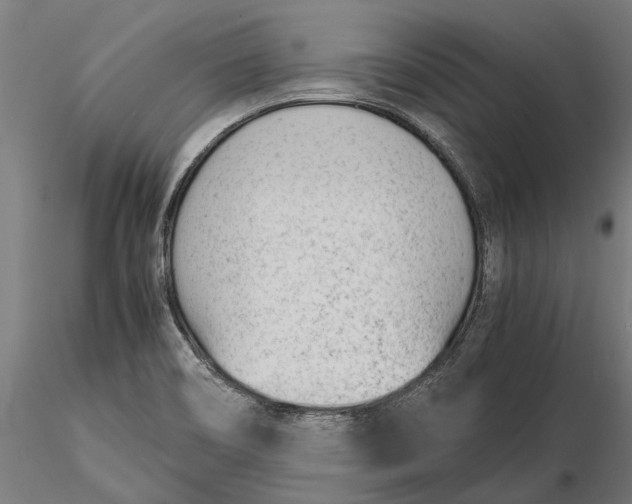 X0000115681466200912031408