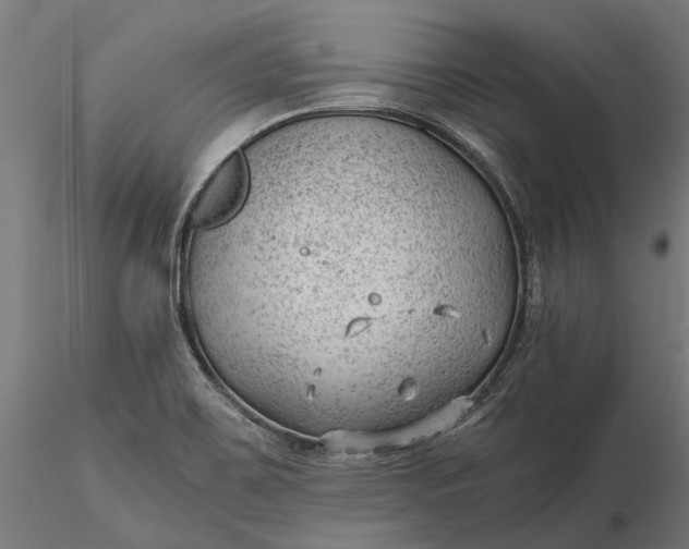 X0000115681467200912031408