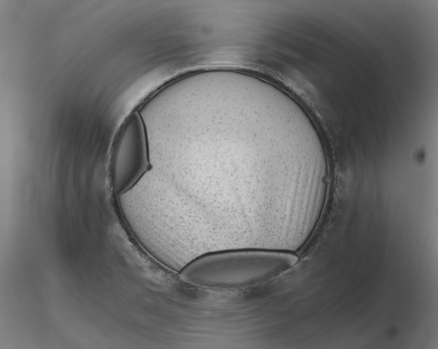 X0000115681469200912031408