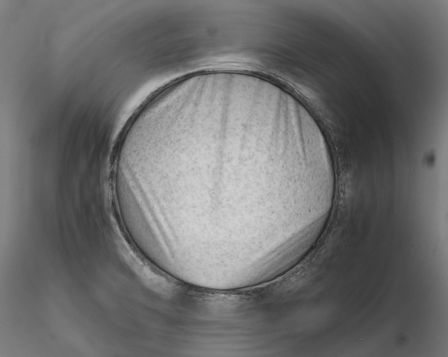 X0000115681470200912031408