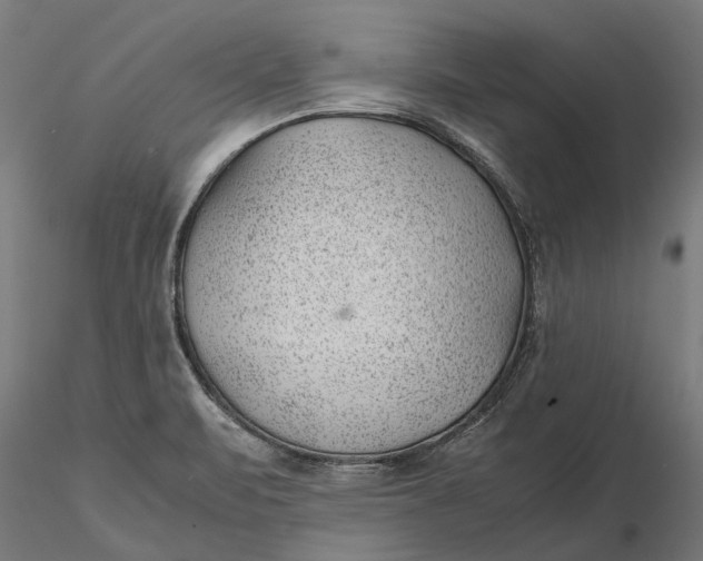 X0000115681471200912031408