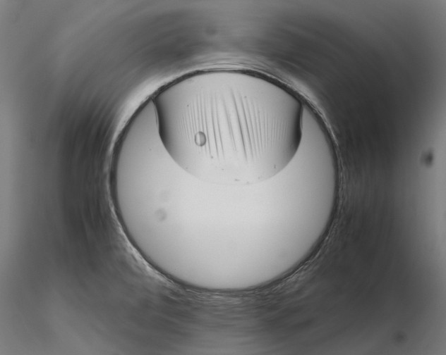 X0000115681472200912031408