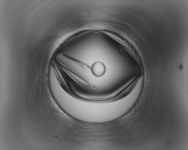 X0000115681477200912031408