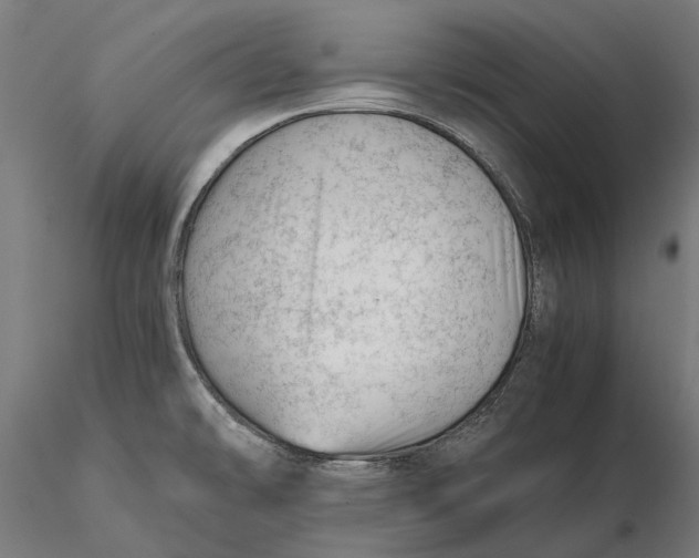 X0000115681478200912031408