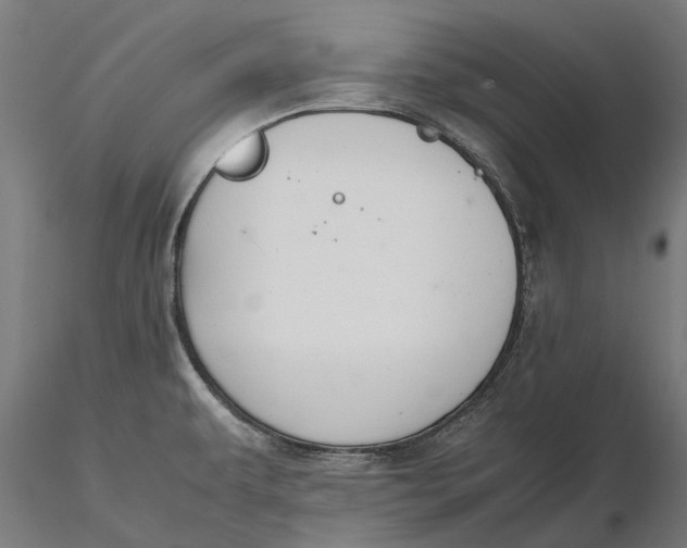 X0000115681479200912031408