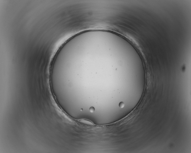 X0000115681480200912031408