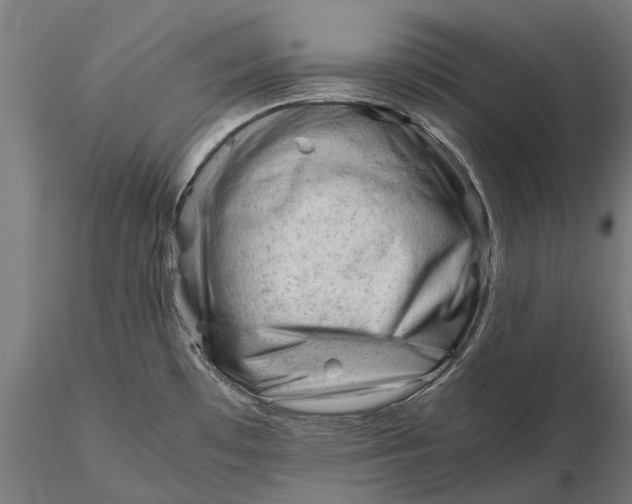 X0000115681481200912031408