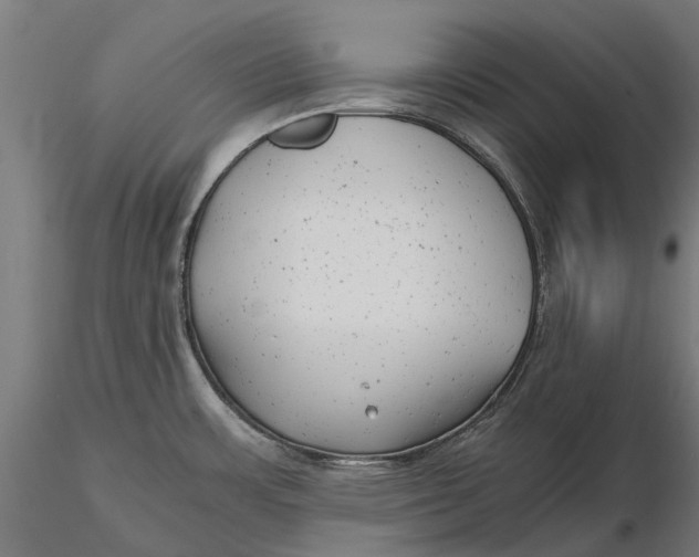 X0000115681483200912031408