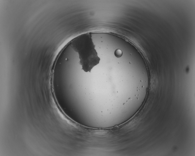 X0000115681484200912031408