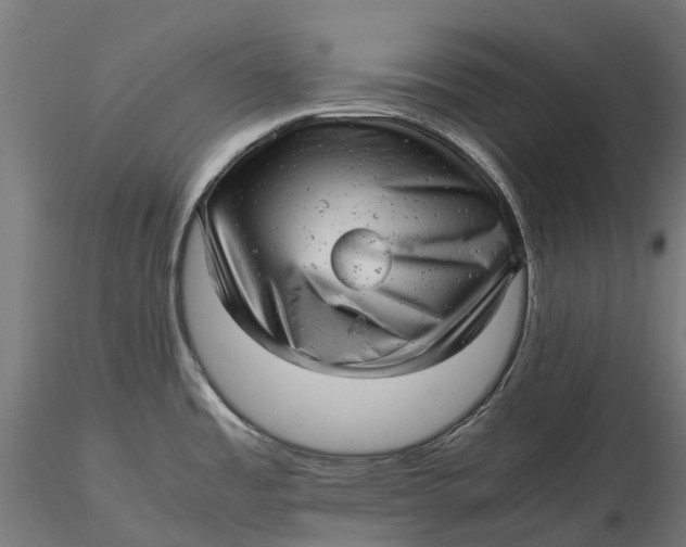 X0000115681485200912031408