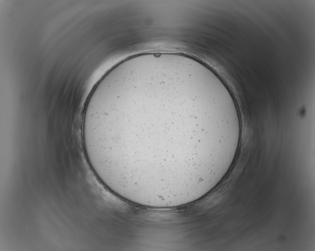 X0000115681486200912031408