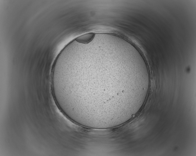 X0000115681487200912031408