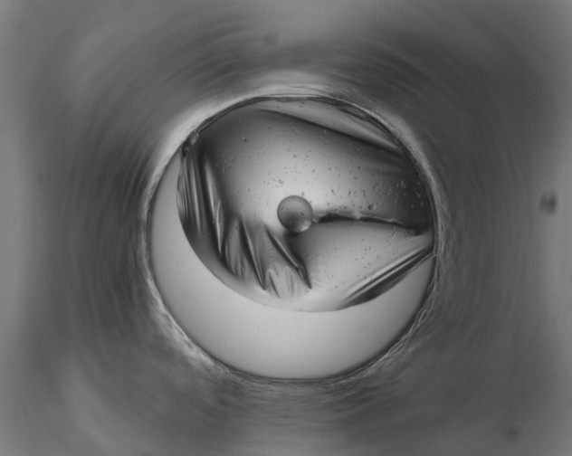 X0000115681488200912031408