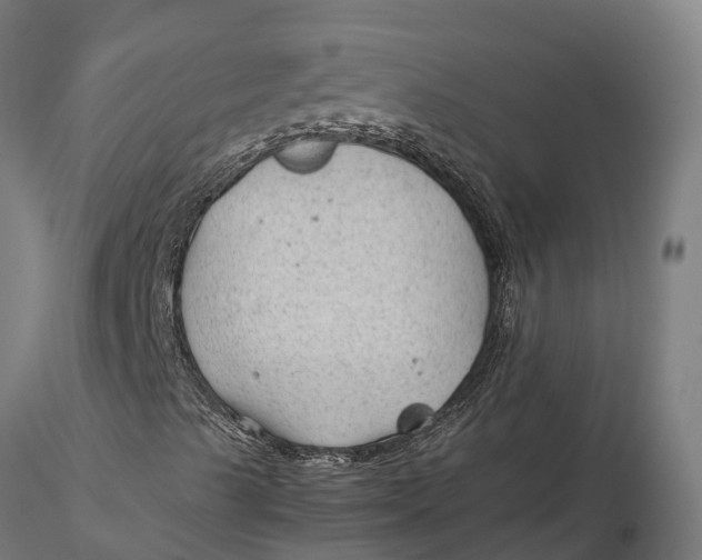 X0000115681489200912031407